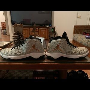 Jordan’s Size 12 great white and bronze